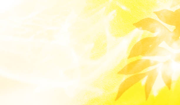 istock Yellow Shadow Summer Background Abstract blur Leaf Plant Tree Spring Nature Veiw Texture Floor Wall Minimal Scene Lemon Fruit Food Color Hot Sun Empty Display Clean Template Tropical 3d 1699805299