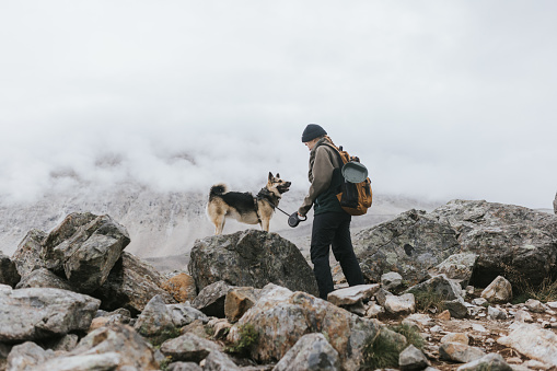 The Norwegian wilderness presents its challenges, but a young hiker and her devoted dog press on, scaling a rocky trail with a shared sense of purpose and adventure.