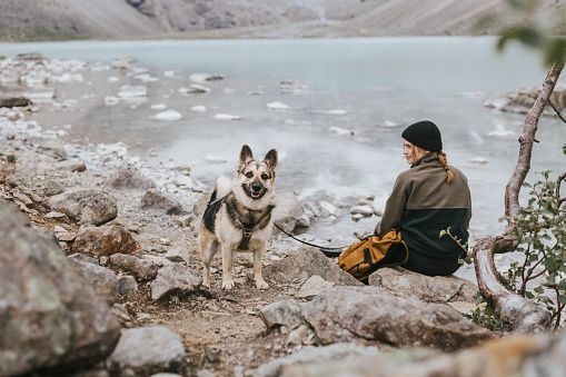 Young woman and her dog relax by the edge of a pristine Norwegian lake, their connection to nature palpable in the stillness of the moment.