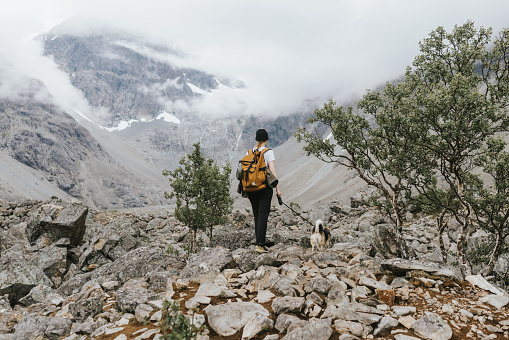 Norwegian wilderness provides a stunning backdrop for a young woman and her trusty dog as they hike along a path, surrounded by craggy cliffs. The two make a determined team, united by the love of exploration.
