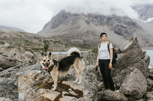 In the Norwegian mountains, a gloomy autumn landscape frames a young woman and her furry friend as they hike together. The woman gazes at the horizon, taking in the stunning view.