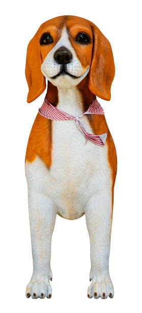Front view statue Beagle dog isolated on white background with clipping path