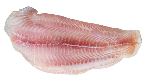 istock Pangasius fillet slice isolated on white background with clipping path 1699823222