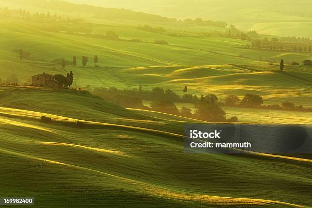 Foto de Manhã Na Toscana e mais fotos de stock de Agricultura - Agricultura, Ajardinado, Beleza natural - Natureza
