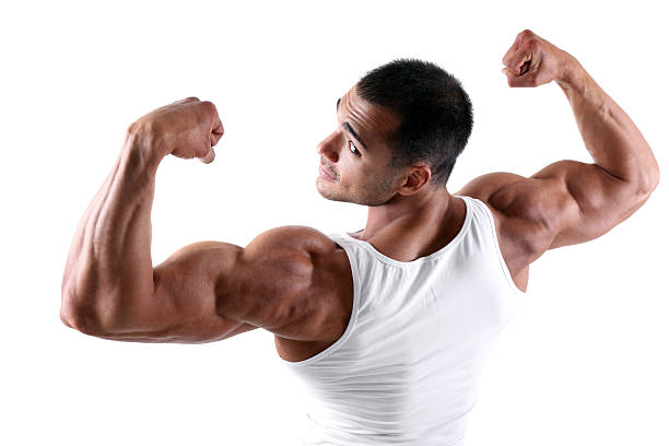 двойные бицепсы - men body building human muscle muscular build стоковые фото и изображения
