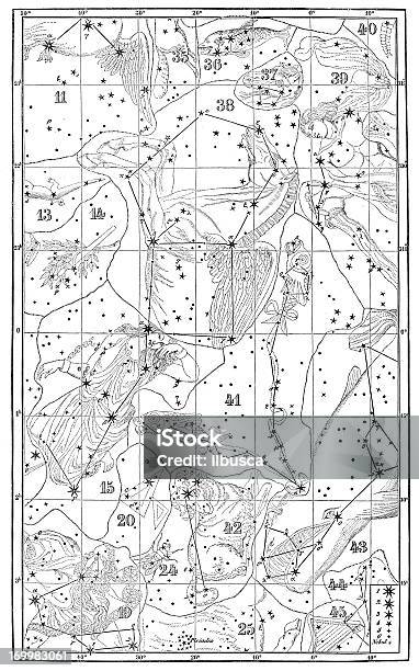 Старинные Иллюстрации Знаки Зодиака Астрология Созвездий — стоковая векторная графика и другие изображения на тему Знаки зодиака