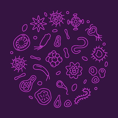 Bacteriology vector Microbiology Science concept outline round banner or illustration