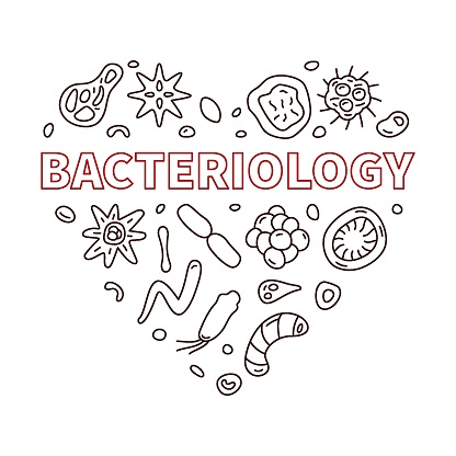 Bacteriology Heart vector Science concept banner or illustration in thin line style