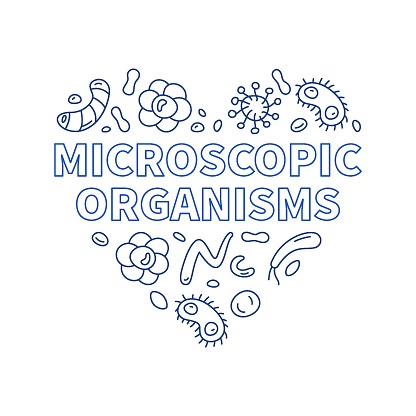 Microscopic Organisms Heart vector Bacteriology concept outline banner - Microorganism illustration