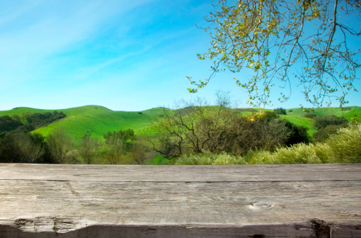 Wooden table with a beautiful natural background. Photographed with Canon 5D MarkII using a polarizing filter.