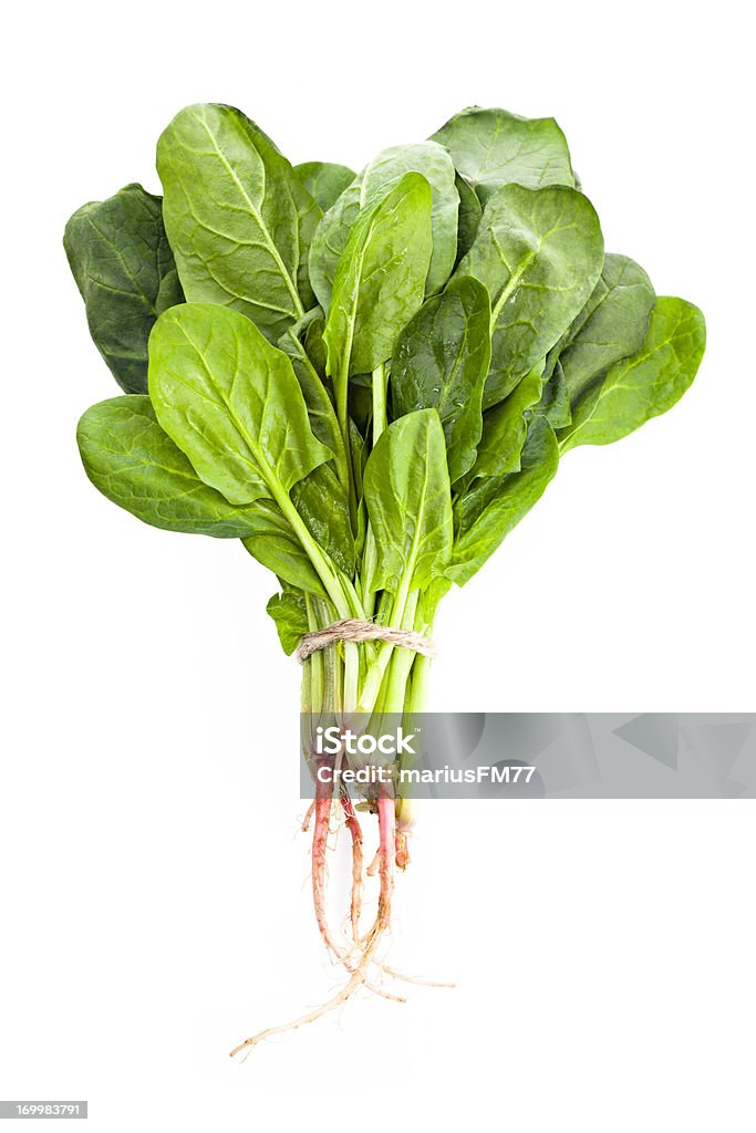 Spinach isolated bunch of spinach Spinach Stock Photo