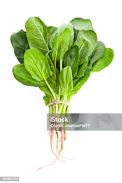 Spinach Stock Photo - Download Image Now - Spinach, Cut Out, Vegetable