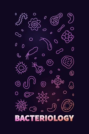 Bacteriology vector Microbiology Science concept linear colored vertical banner or illustration with dark background