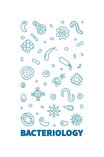 Bacteriology vector Microbiology Science concept outline blue vertical banner or illustration