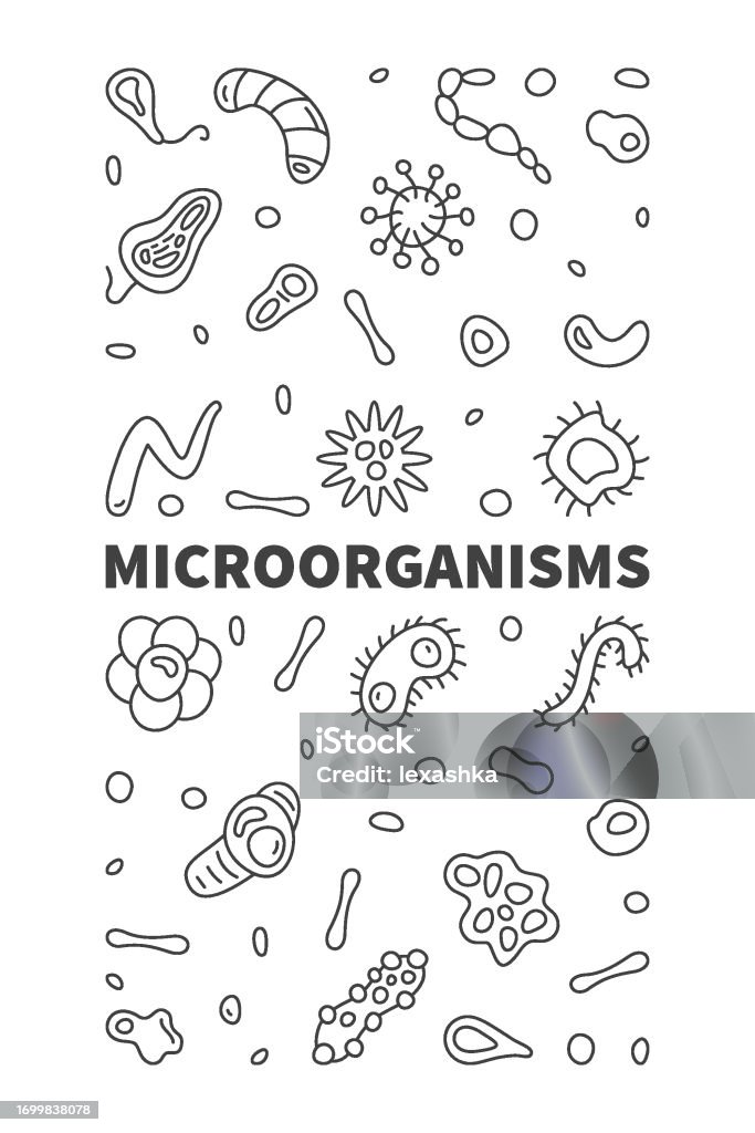 Microorganisms Vector Background Microorganisms Vector Micro Organisms Concept Line Vertical Banner With ...