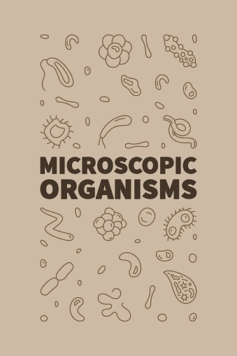 Microscopic Organisms vector Bacteriology concept outline brown vertical banner - Microorganism illustration