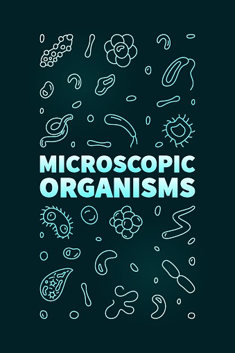 Microscopic Organisms vector Bacteriology concept thin line colored vertical banner - Microorganisms illustration with dark background