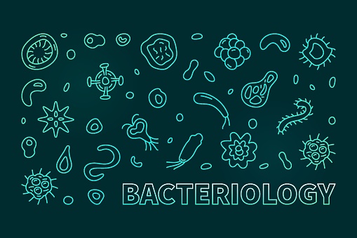 Bacteriology vector Microbiology Science concept linear colorful horizontal banner or illustration with dark background