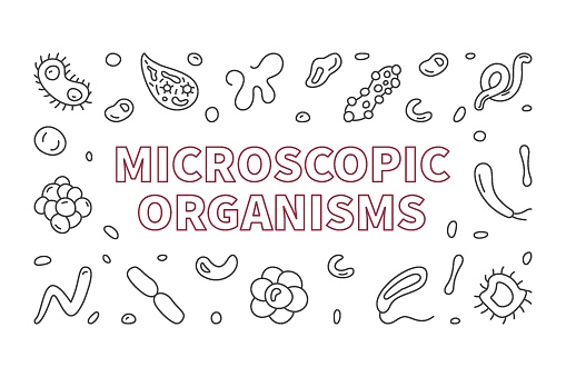 Microscopic Organisms vector Bacteriology concept outline horizontal banner - Microorganism illustration