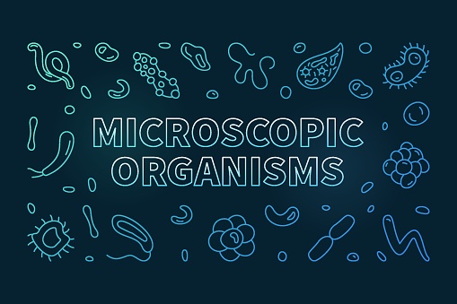 Microscopic Organisms vector Bacteriology concept thin line colored horizontal banner - Microorganisms illustration with dark background