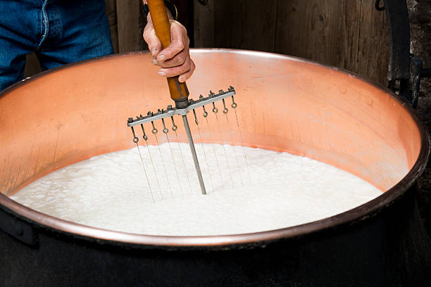 fabricação de queijo orgânico - lenk im simmental - fotografias e filmes do acervo