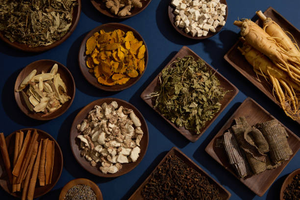 TRADITIONAL MEDICINE Over the blue background, many different types of traditional medicine are arranged. These herbs have great medicinal value chinese herbal medicine stock pictures, royalty-free photos & images
