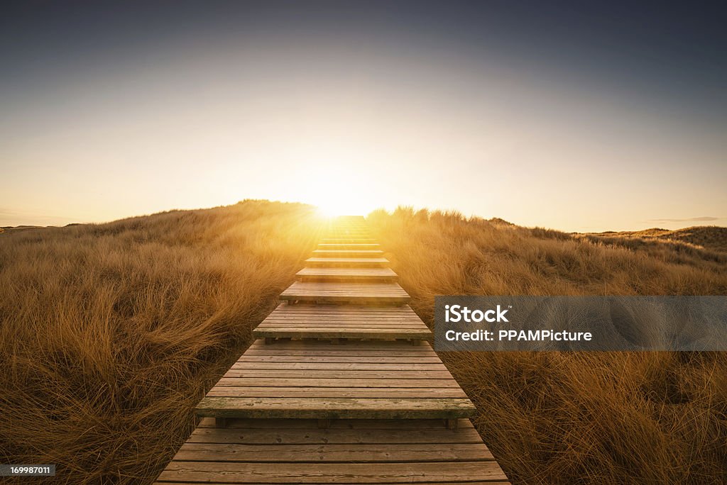 Boardwalk through the dunes Boardwalk through the dunes into the sun Footpath Stock Photo