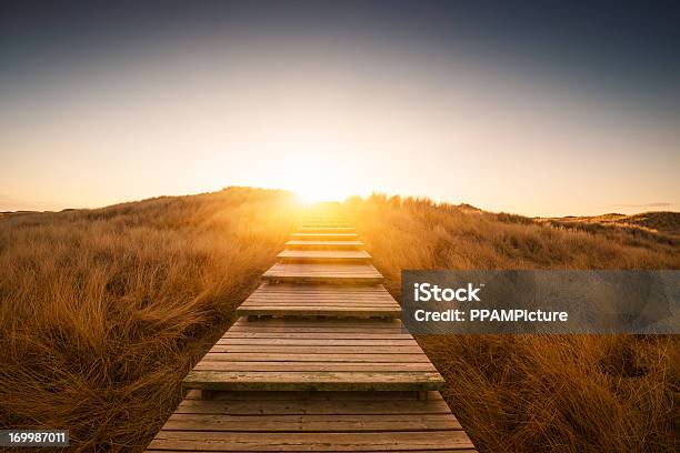 Boardwalk Through The Dunes Stock Photo - Download Image Now - Footpath, Light - Natural Phenomenon, Illuminated