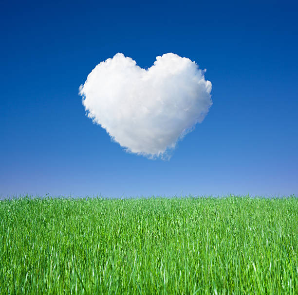 istock Green Grass And Cloud Heart, Square 169987400