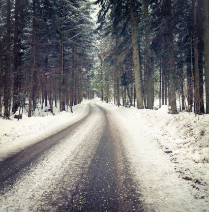 A winding road through a snowy forest.