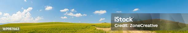 Italia Toscana Panorama Di Colline E Coltivata Percorso Stradale - Fotografie stock e altre immagini di Sentiero di campagna