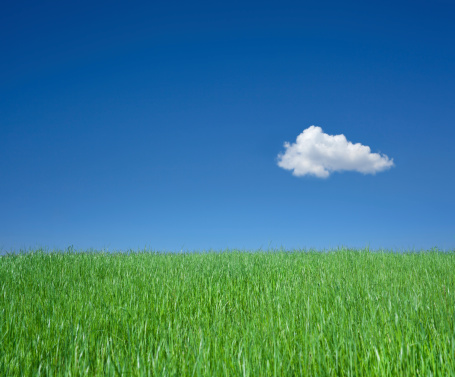 Green grass and cloud against blue sky.