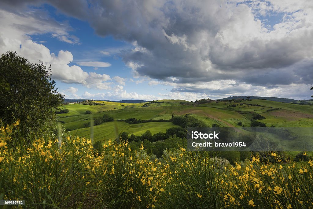 Paisagem toscana - Foto de stock de Arbusto royalty-free