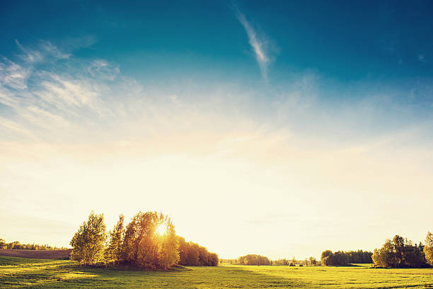 istock Rural scene in Sweden 169993430