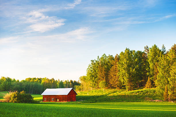 istock Rural scene in Sweden 169993439