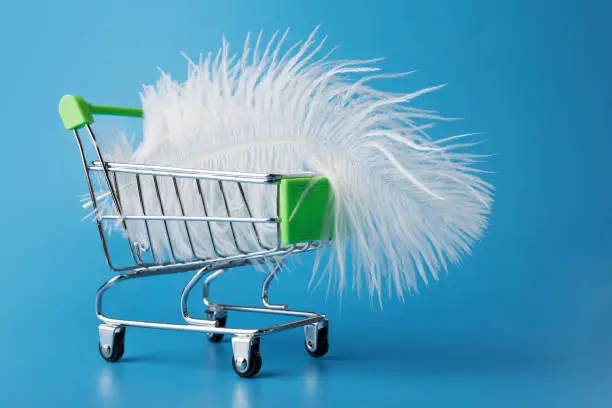 easy shopping,online supermarket,cheap prices and discounts on products,feather in supermarket trolley for groceries