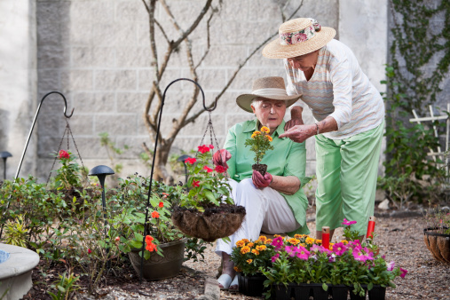 Two senior women (80s) gardening together.