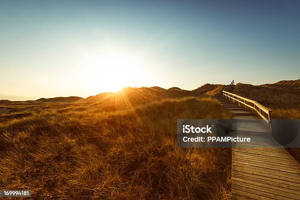 Boardwalk Through The Dunes Stock Photo - Download Image Now - Adventure, Boardwalk, Coastal Feature