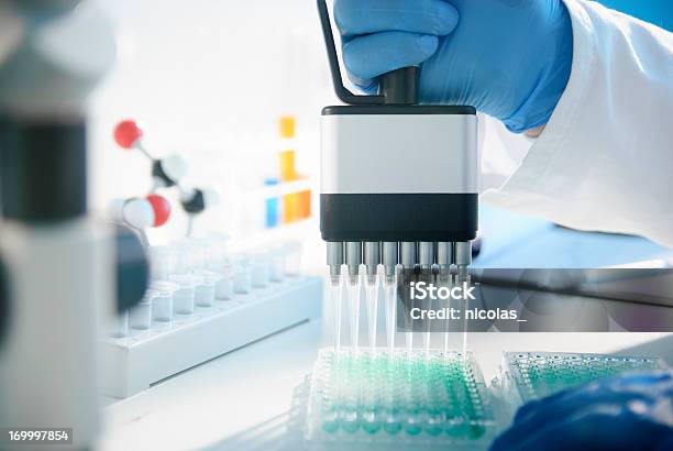 La Investigación Científica Foto de stock y más banco de imágenes de Microplaca - Microplaca, 30-39 años, Adulto