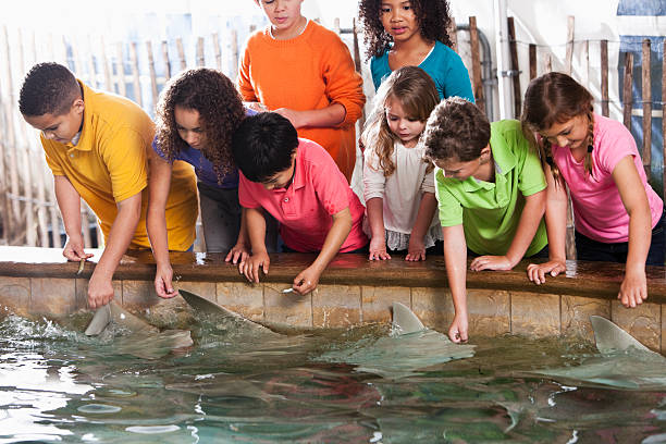 Children at zoo stingray exhibit