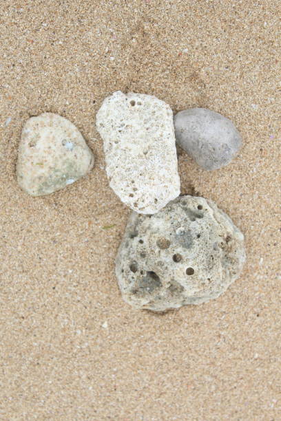 istock coral reef, sea sands 1699988267