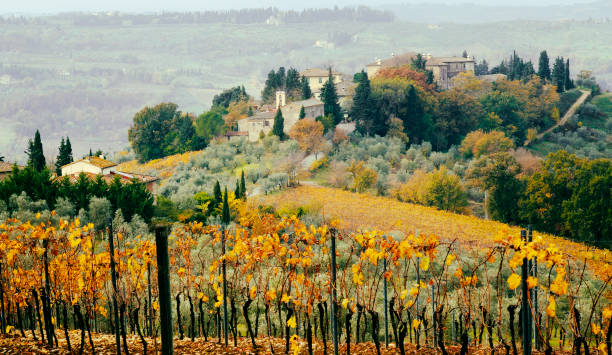 amazing pictorial countryside of Tuscany with autumn vineyards