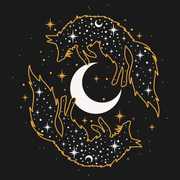 Vector illustration of Magical foxes with moon and stars in black backround.