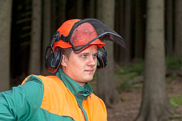 istock Portrait of Lumberjack 170000726