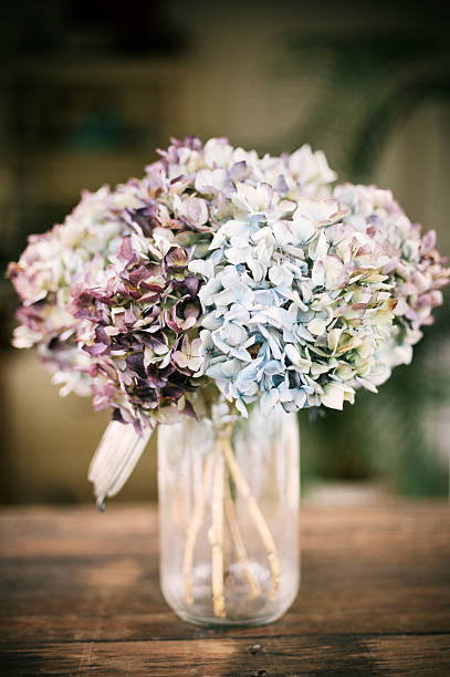 dried hydrangea flowers simply arranged in jar on wooden table