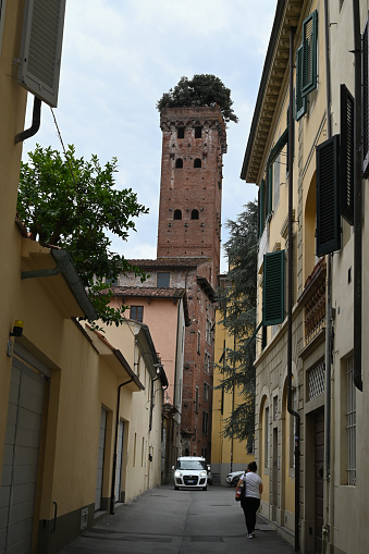 Lucca, Italy, september 20, 2023 : Guinigi Tower of Lucca city in Tuscany