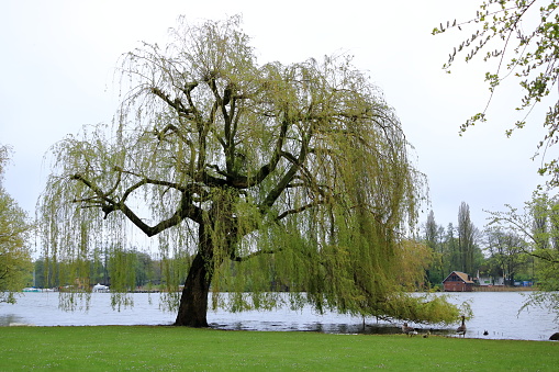 Lake Schwerin (German: Schweriner See) on a cloudy day