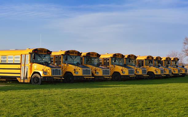 istock Row of yellow School Buses parked on grass 170003209