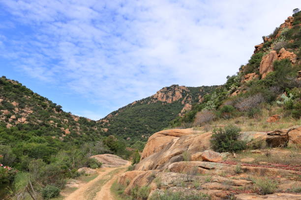 istock mountainous hiking in sardinia 1700033415