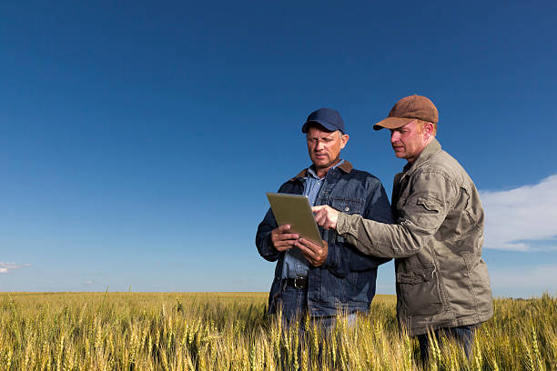 os agricultores e tecnologia - agriculture teamwork farmer people imagens e fotografias de stock